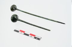 Foto von Kugelkopfnadel (NHMW-PRAE-024264)